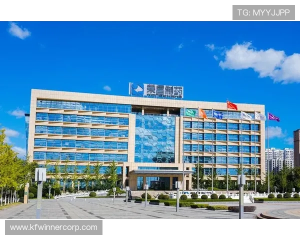 凯发一触即发中国区官方网站上线时间及注册流程全方位攻略指南