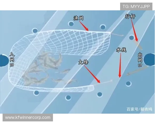 提升捕鱼技巧在K8捕鱼网中轻松击败对手的实用策略 提升捕鱼技巧在K8捕鱼网中轻松击败对手的实用策略