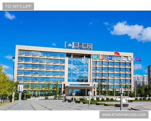 详细介绍k8凯发国际登录入口的多种登录方式,满足不同玩家的个性化需求